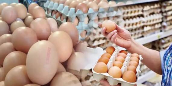 YUMBİR fiyatların düştüğünü açıkladı, etiketler değişmedi! Sakın bu fiyata yumurta almayın: Tüketiciler uyarıldı