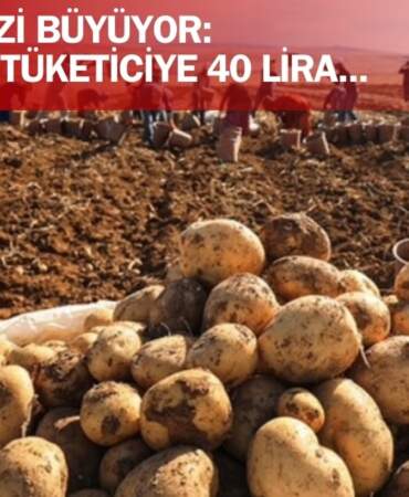 Üretici satamıyor, vatandaş alamıyor! Patates fiyatlarında kriz: Üreticiye 1 lira, tüketiciye 40