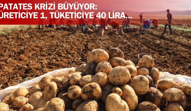 Üretici satamıyor, vatandaş alamıyor! Patates fiyatlarında kriz: Üreticiye 1 lira, tüketiciye 40