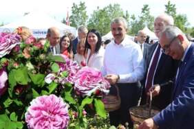 Yok olmuştu, efsane geri döndü! Tarlalar onunla doldu taştı: Edirne’de hasat şöleni yapıldı