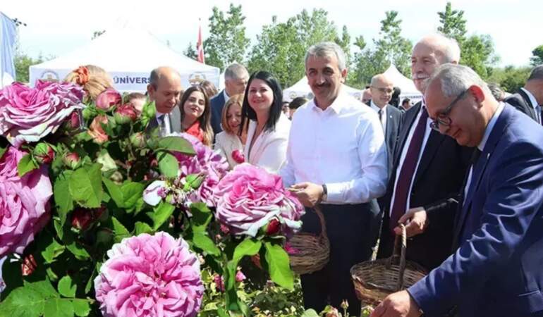 Yok olmuştu, efsane geri döndü! Tarlalar onunla doldu taştı: Edirne’de hasat şöleni yapıldı