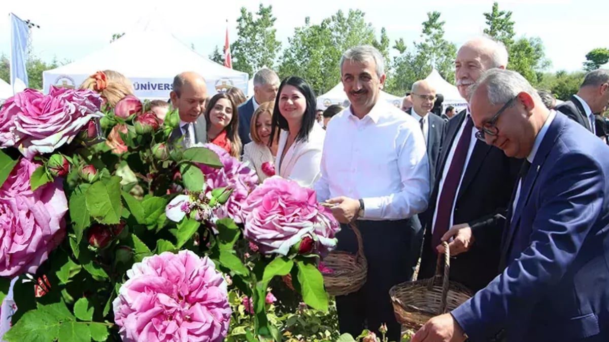 Yok olmuştu, efsane geri döndü! Tarlalar onunla doldu taştı: Edirne’de hasat şöleni yapıldı