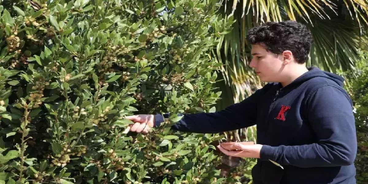 Küçük yaşında büyük keşif! Okul bahçesinde buldu, tohumuna sahip çıktı! Tamamen doğal üretim yapıyor