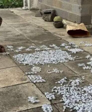Tanesi 220 dolardan satılıyor, herkes döne döne arıyor! Satışı yasak ama gizliden satılıyor