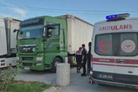 Edirne’de tır sürücüsü aracında ölü bulundu
