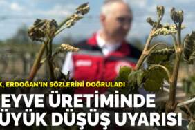 Meyve üretiminde büyük düşüş uyarısı: TÜİK, Erdoğan’ın sözlerini doğruladı