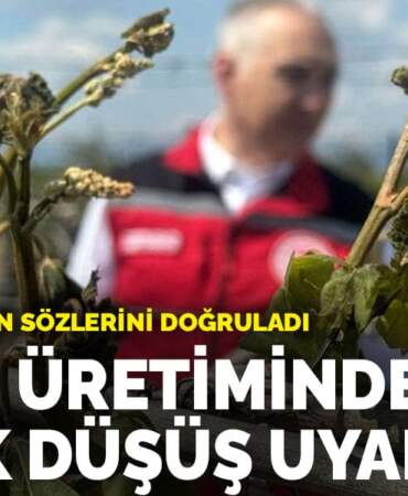 Meyve üretiminde büyük düşüş uyarısı: TÜİK, Erdoğan’ın sözlerini doğruladı