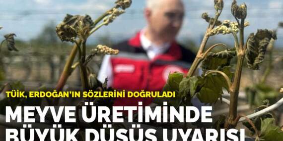 Meyve üretiminde büyük düşüş uyarısı: TÜİK, Erdoğan’ın sözlerini doğruladı