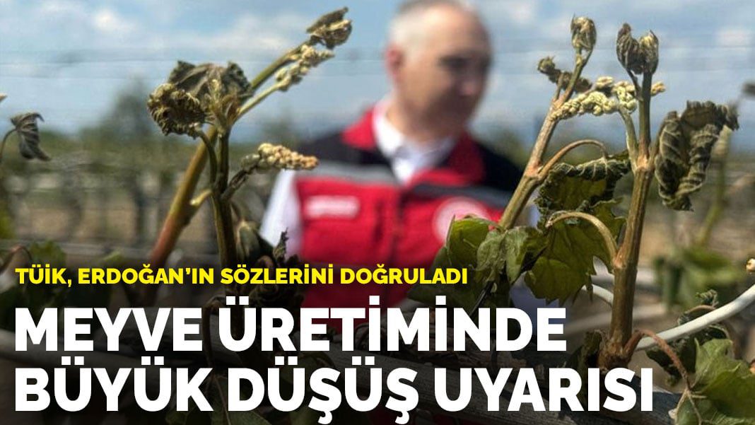 Meyve üretiminde büyük düşüş uyarısı: TÜİK, Erdoğan’ın sözlerini doğruladı