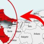 Bursa, Bilecik, Yalova, İzmit ve İstanbul kırmızıya döndü! İstila resmen başladı: Ağaçta, telde, bahçede…