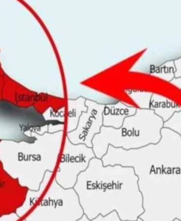Bursa, Bilecik, Yalova, İzmit ve İstanbul kırmızıya döndü! İstila resmen başladı: Ağaçta, telde, bahçede…