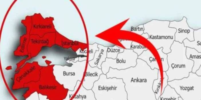 Bursa, Bilecik, Yalova, İzmit ve İstanbul kırmızıya döndü! İstila resmen başladı: Ağaçta, telde, bahçede...