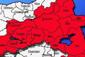 Elazığ, Batman, Tunceli, Malatya ve Bingöl’de istila başladı! 2.5 metre uzunlukta, soktuklarında anında felç edip bırakıyor