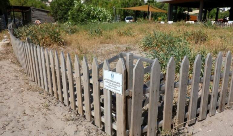 Diğer çiçeklerden sanıp koparan yandı! 350 bin liranın üzerinde ceza kesiliyor