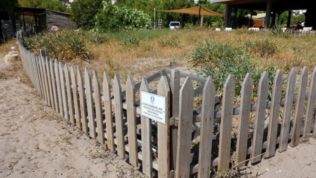 Diğer çiçeklerden sanıp koparan yandı! 350 bin liranın üzerinde ceza kesiliyor