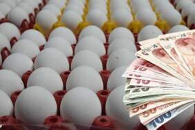 Yumurta Fiyatlarına Bayram İndirimi Tarifi! Yüzde 50 Düştü!