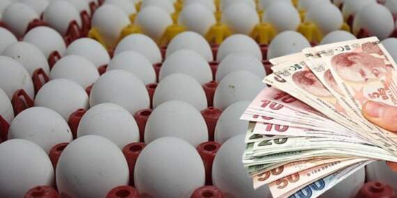 Yumurta Fiyatlarına Bayram İndirimi Tarifi! Yüzde 50 Düştü!