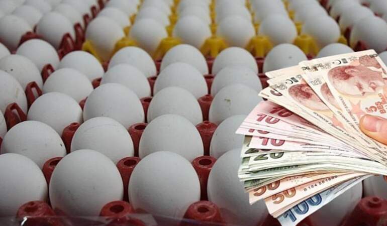 Yumurta Fiyatlarına Bayram İndirimi Tarifi! Yüzde 50 Düştü!