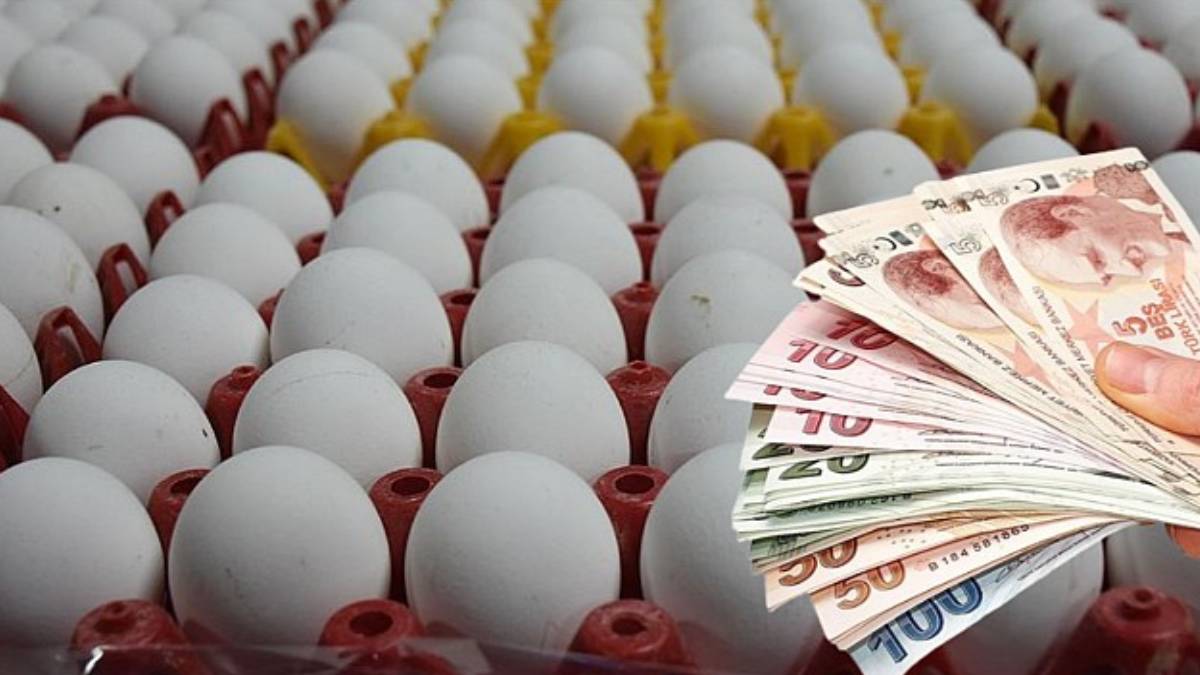 Yumurta Fiyatlarına Bayram İndirimi Tarifi! Yüzde 50 Düştü!