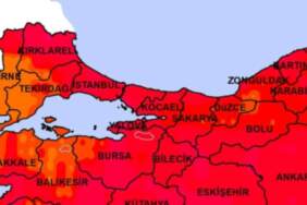 Gündüz dağdan, ormandan inip artık evlere giriyorlar! Bursa’da Yalova’da yaşayanlar kapıyı pencereyi sıkı sıkı kapatsın…
