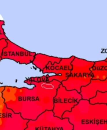 Gündüz dağdan, ormandan inip artık evlere giriyorlar! Bursa’da Yalova’da yaşayanlar kapıyı pencereyi sıkı sıkı kapatsın…