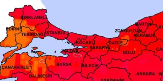 Gündüz dağdan, ormandan inip artık evlere giriyorlar! Bursa’da Yalova’da yaşayanlar kapıyı pencereyi sıkı sıkı kapatsın…
