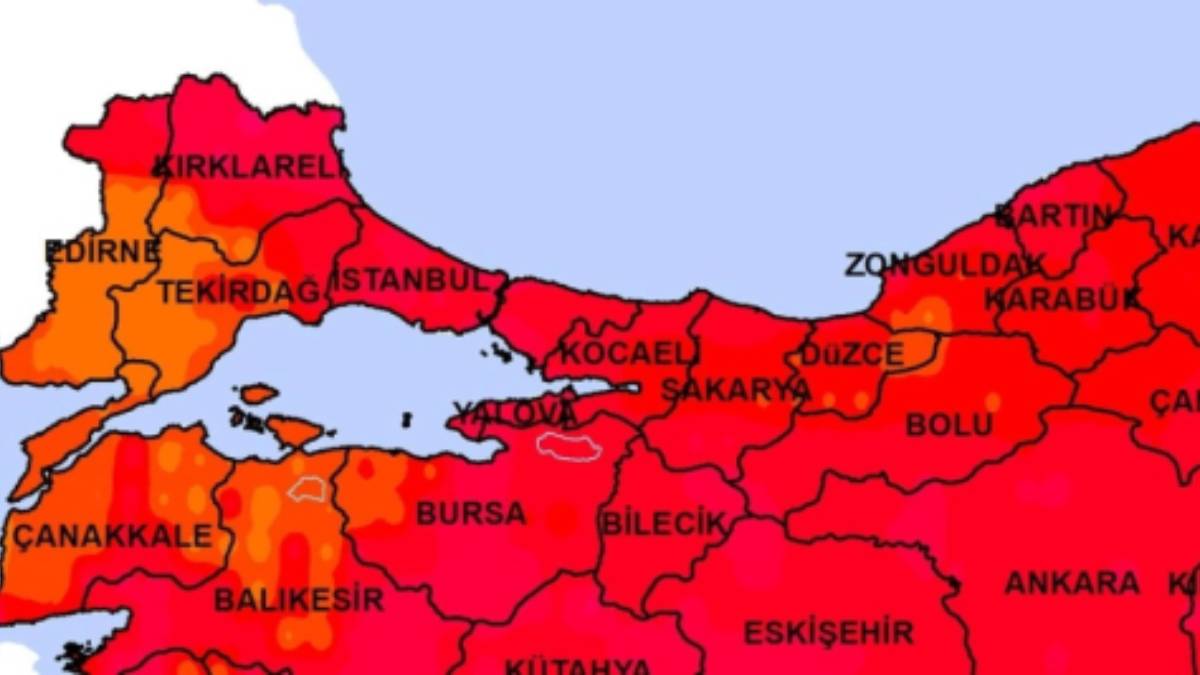 Gündüz dağdan, ormandan inip artık evlere giriyorlar! Bursa’da Yalova’da yaşayanlar kapıyı pencereyi sıkı sıkı kapatsın…