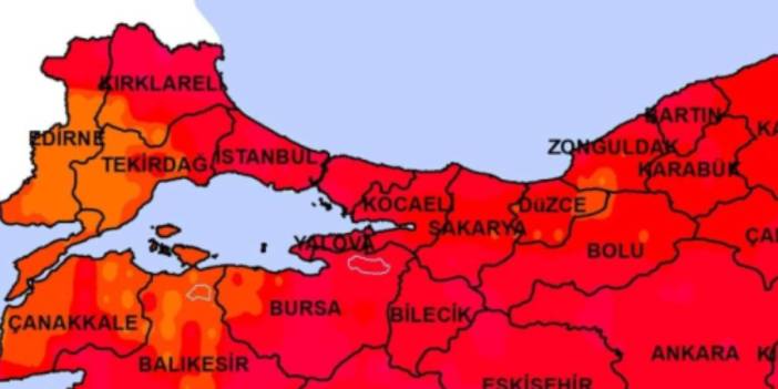 Gündüz dağdan, ormandan inip artık evlere giriyorlar! Bursa'da Yalova'da yaşayanlar kapıyı pencereyi sıkı sıkı kapatsın...