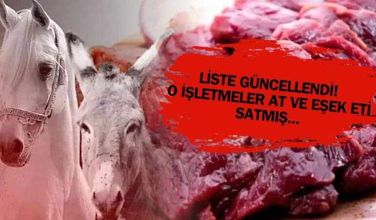 “Et” diye yedirdiler, “At ve Eşek eti” çıktı! Bakanlık yeni ifşayı tek tek paylaştı: Buralardan sakın et almayın