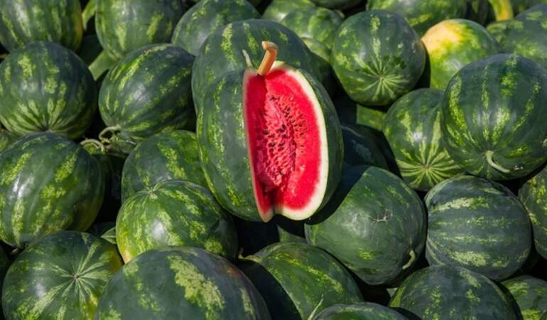 Karpuz alırken bu tüyoya kulak verin! Adanalı üreticilerin ‘bal gibi’ karpuz formülü: Yazın karpuzlarınız sağlam çıkacak