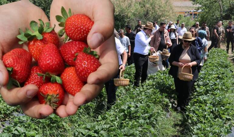 Sason’da hasat başladı, tezgahlar renklendi! Yaz meyvesi fiyatıyla şaşırttı: Kilosu 70, kasası 200 TL