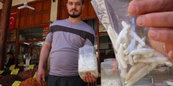 Çeyrek altını solladı, yarım altınla yarışıyor! Böyle sakız görülmedi, fiyatı dudak uçuklatıyor: Sivas’ın dağlarında topluyorlar