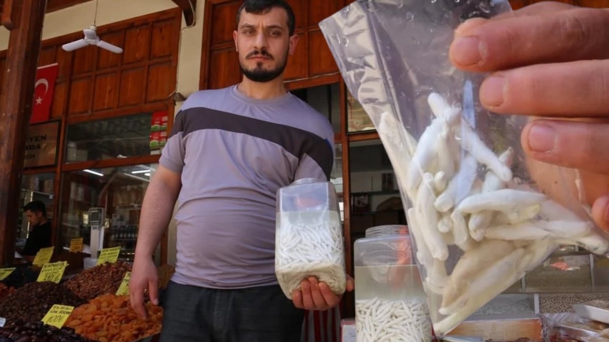 Çeyrek altını solladı, yarım altınla yarışıyor! Böyle sakız görülmedi, fiyatı dudak uçuklatıyor: Sivas’ın dağlarında topluyorlar