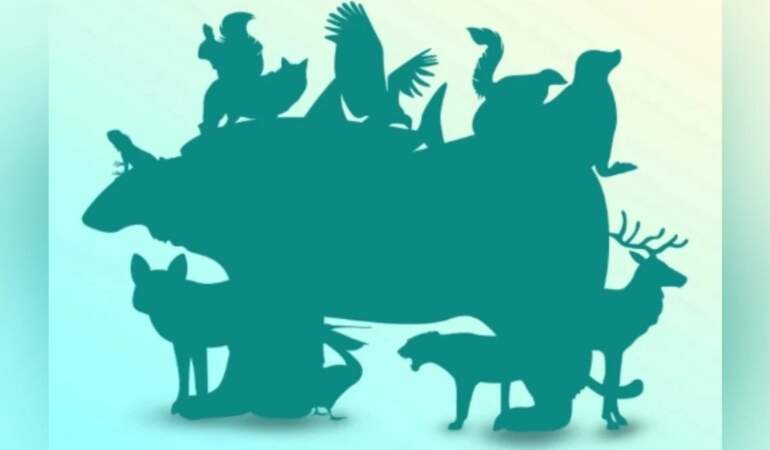 Göreviniz başlıyor! 17 saniyede kaç hayvan bulacaksınız? Dahiler şıp demeden bulacak