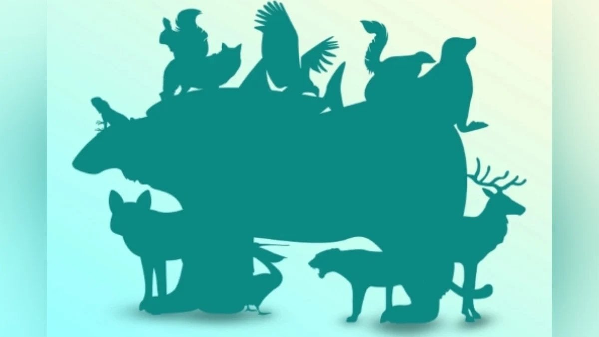 Göreviniz başlıyor! 17 saniyede kaç hayvan bulacaksınız? Dahiler şıp demeden bulacak