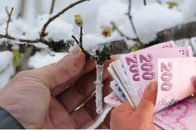 Çiftçinin beklediği haber geldi! Zirai don ödemeleri takvimi belli oldu: İşte başvuru ve ödeme detayları