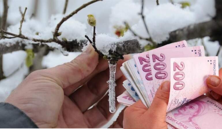 Çiftçinin beklediği haber geldi! Zirai don ödemeleri takvimi belli oldu: İşte başvuru ve ödeme detayları