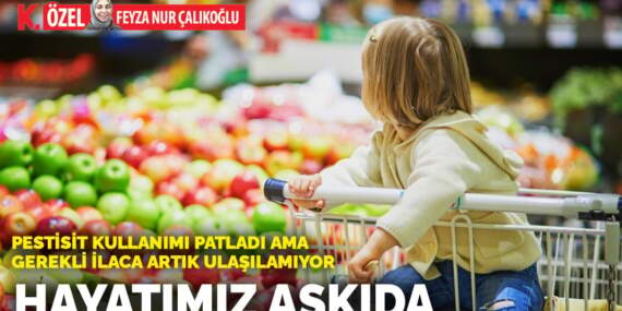 Pestisit kullanımı patladı ama gerekli ilaca artık ulaşılamıyor: Hayatımız askıda