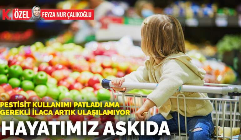 Pestisit kullanımı patladı ama gerekli ilaca artık ulaşılamıyor: Hayatımız askıda