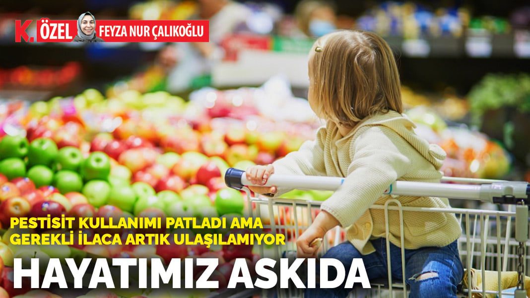 Pestisit kullanımı patladı ama gerekli ilaca artık ulaşılamıyor: Hayatımız askıda