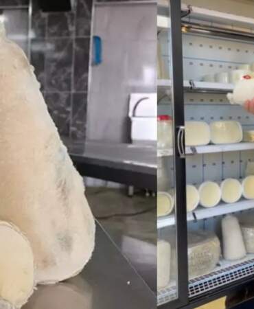 Bu habere en çok Mustafa Sarıgül sevinecek! O peynirimiz Avrupa’yı resmen fethetti! Resmen tescillendi