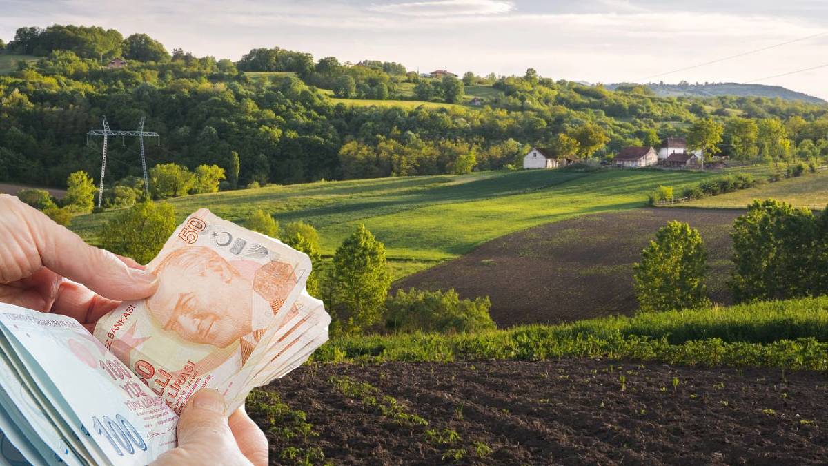 O illerde arsası olan yaşadı! Yatırımcılar o illere akın ediyor, değeri katlanıyor:Zirve ne İstanbul’u ne de Ankara’yı ağırlıyor