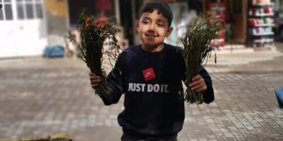 Pazarcının geçim kaynağı! Dağlarda kendiliğinden bitiyor, sepetini kapan koşuyor! Kıtlık onu da vurdu: Kilosu 100 TL