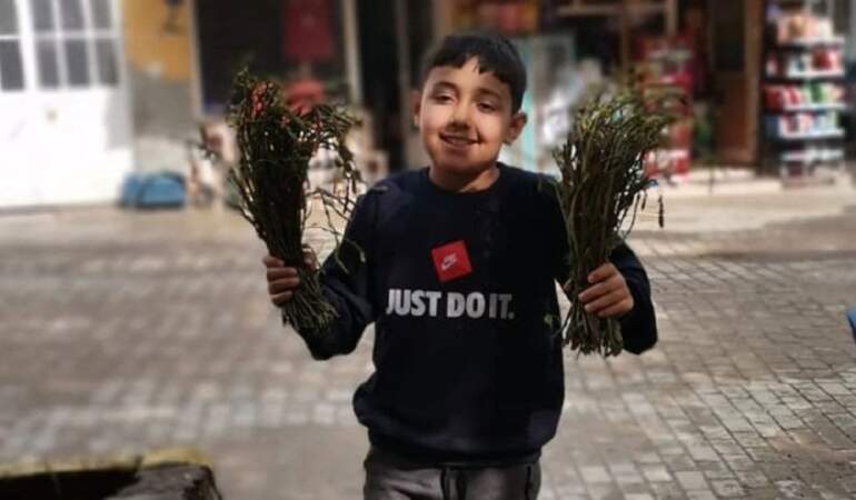 Pazarcının geçim kaynağı! Dağlarda kendiliğinden bitiyor, sepetini kapan koşuyor! Kıtlık onu da vurdu: Kilosu 100 TL