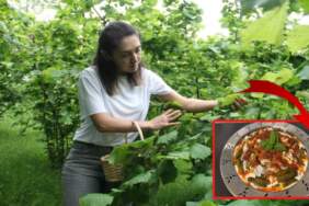 Karadeniz’in unutulmuş lezzeti kanserin ilacı çıktı! Bilim insanları mucizevi etkiyi açıkladı!