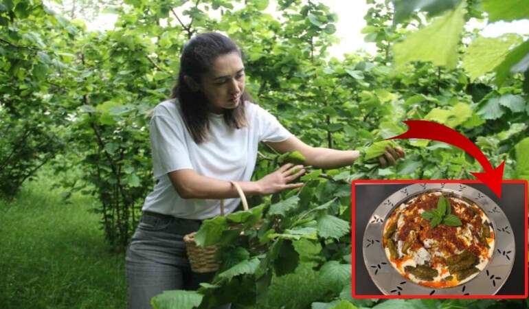Karadeniz’in unutulmuş lezzeti kanserin ilacı çıktı! Bilim insanları mucizevi etkiyi açıkladı!