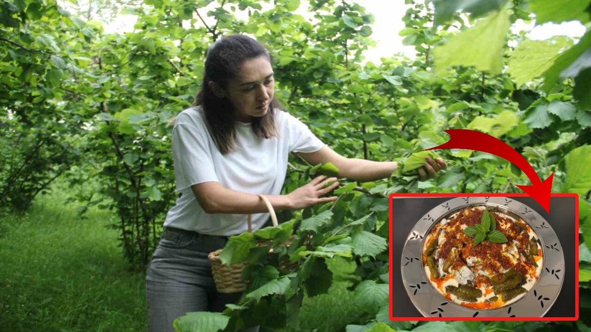 Karadeniz’in unutulmuş lezzeti kanserin ilacı çıktı! Bilim insanları mucizevi etkiyi açıkladı!