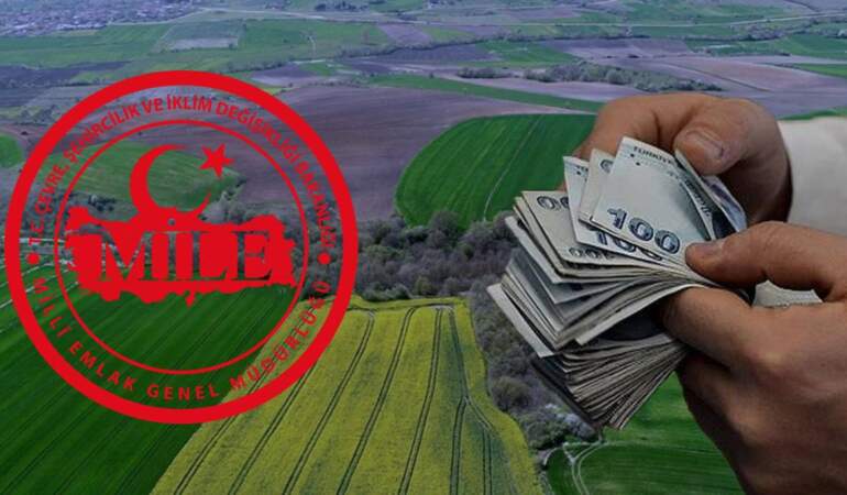 70.000 TL’ye tarla, 84.000 TL’ye arsa! Ankara’da satışa çıkıyor: Milli Emlak yeni yatırımcılarını bekliyor