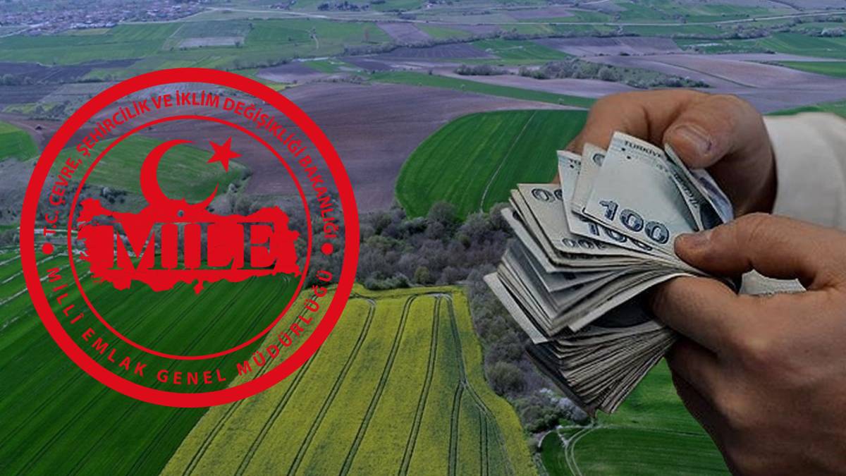 70.000 TL’ye tarla, 84.000 TL’ye arsa! Ankara’da satışa çıkıyor: Milli Emlak yeni yatırımcılarını bekliyor