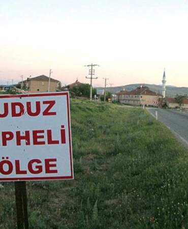 Hatay’da kuduz: 4 mahalle karantinada